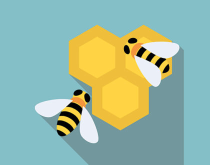 Рассказы пчеловодов о своей пасеке и методах содержания пчел