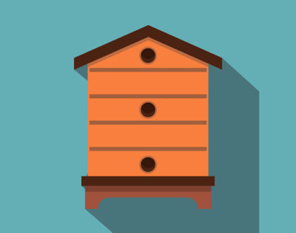 Пчела - пчеловодство. Лекции по пчеловодству