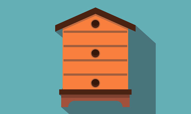 Пчела - пчеловодство. Лекции по пчеловодству