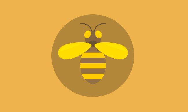 Лечение пчёл